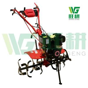 Chongqing χειροκίνητη εκκίνηση Ισχύς Tiller Weeder Εξοπλίστε με 4HP Famous Motors Diesel Engine